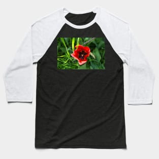 Red Tulip Baseball T-Shirt